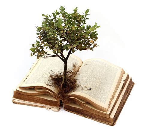 Tree on bible with roots exposed
