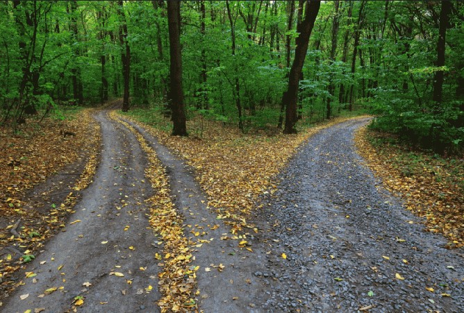 Road forks in two directions